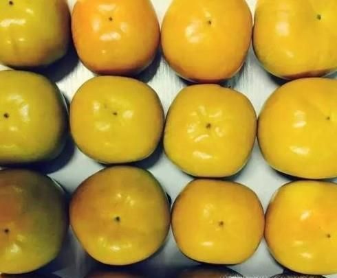 怎样使柿子不涩