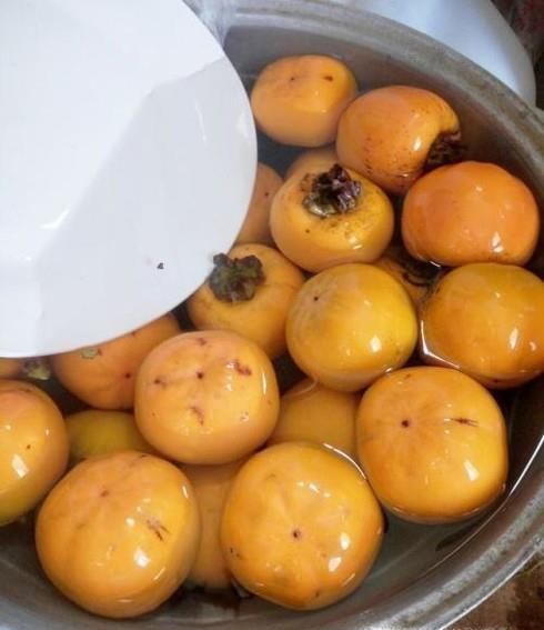 怎样使柿子不涩