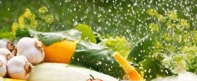 蔬菜有哪些营养