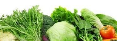 蔬菜有哪些营养