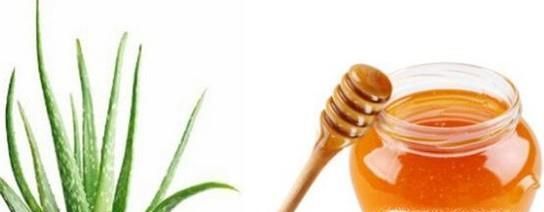 6个新鲜芦荟的正确用法推荐