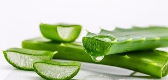 6个新鲜芦荟的正确用法推荐