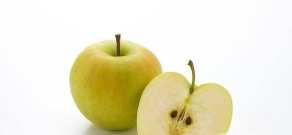 2018苹果苗新品种有哪些