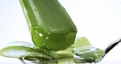 6个新鲜芦荟的正确用法推荐