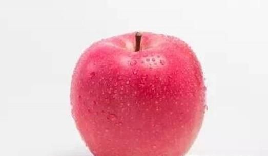 2018苹果苗新品种有哪些