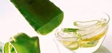 6个新鲜芦荟的正确用法推荐