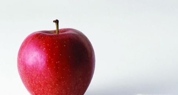 2018苹果苗新品种有哪些