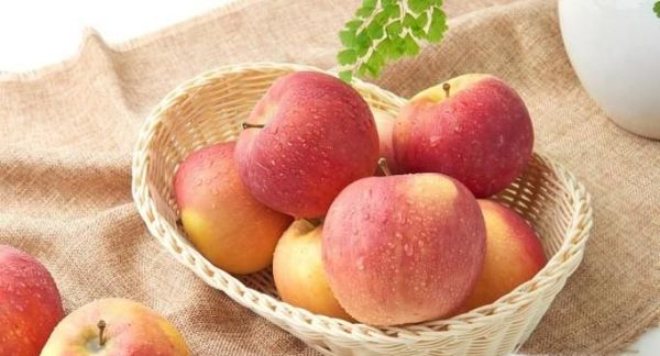 2018苹果苗新品种有哪些