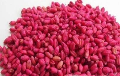 宿舍如何防止老鼠爬床