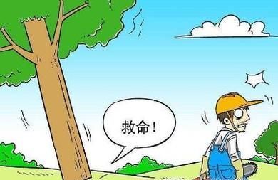 怎样珍惜自然资源