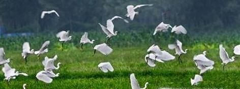 怎样珍惜自然资源