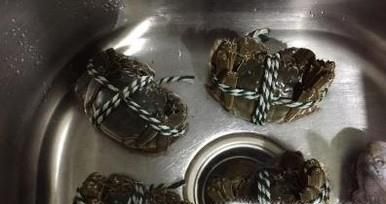 怎样清洗大闸蟹才干净？