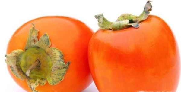 柿子有哪些禁忌？