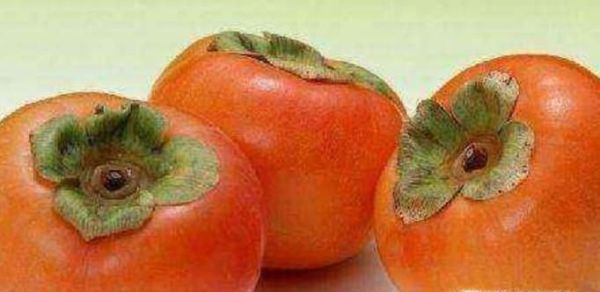 柿子有哪些禁忌？