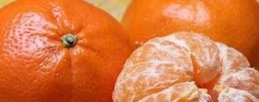 秋季当季水果和蔬菜有哪些