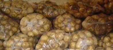 如何防止土豆发芽