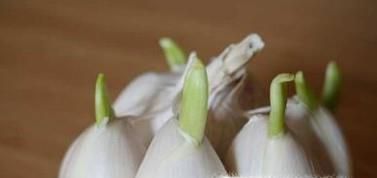 防止大蒜发芽的方法