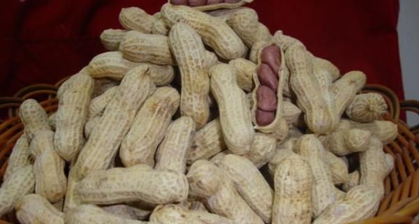生吃花生米好不好?
