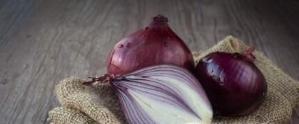 吃洋葱对人身体的八大好处