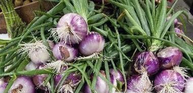 吃洋葱对人身体的八大好处