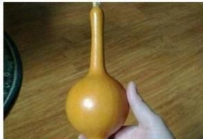 葫芦怎么保存处理