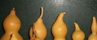 葫芦怎么保存处理