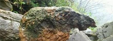 怎样在山上捡奇石