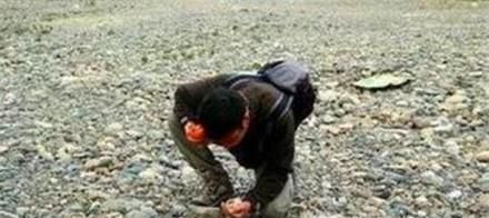 怎样在山上捡奇石