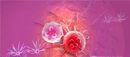 频繁喝奶茶有哪些危害?如何健康喝奶茶?