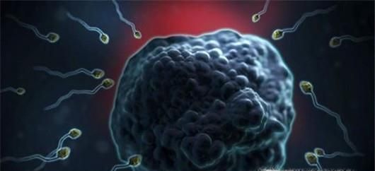 频繁喝奶茶有哪些危害?如何健康喝奶茶?