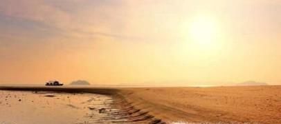 活皮皮虾怎么保存过夜