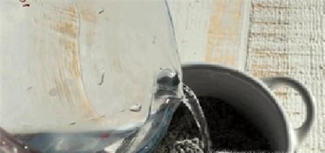 怎么冲芝麻糊(代餐粉)不结块?