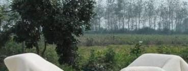 生活去螨小妙招