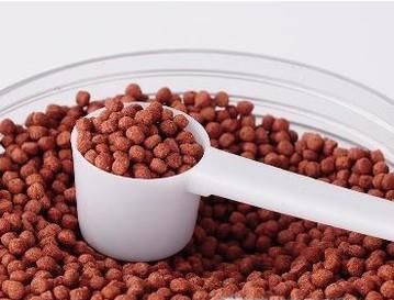 淡水虾虎鱼怎么养