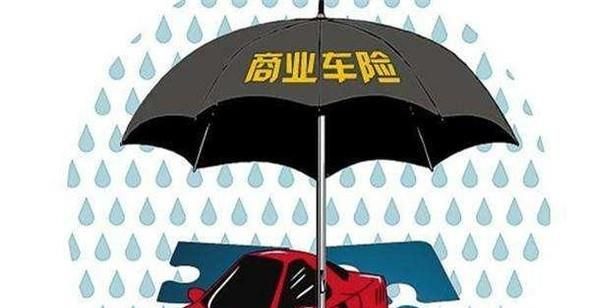 车辆脱保怎么办