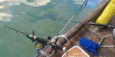 桥上筏钓小鲫鱼技巧