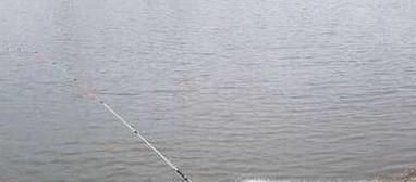 桥上筏钓小鲫鱼技巧