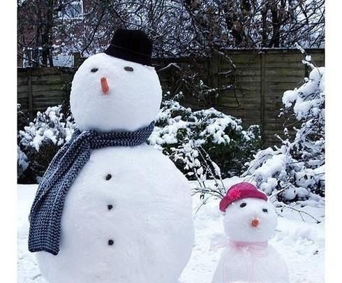 雪在我们的生活中有哪些作用