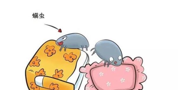 身上螨虫多了，身体会出现哪些信号？