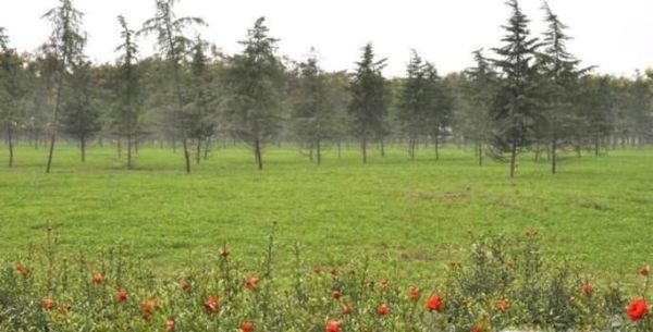 雪在我们的生活中有哪些作用