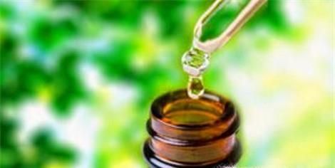 皮衣有味道怎么去除