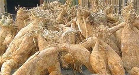 干葛根怎么吃效果最好