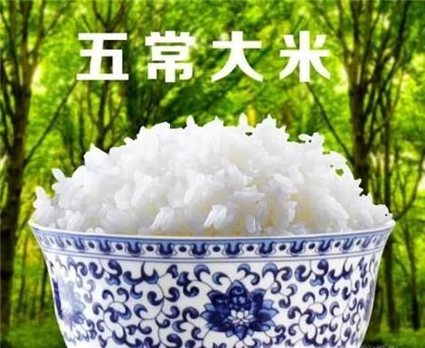 五常大米的生长过程
