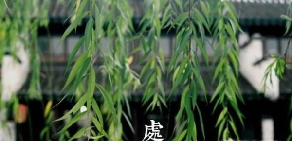 二十四节气的简单的意义