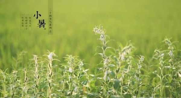 二十四节气的简单的意义