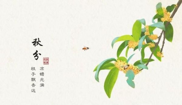 二十四节气的简单的意义