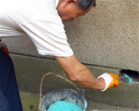 怎么一次性消灭家里的老鼠