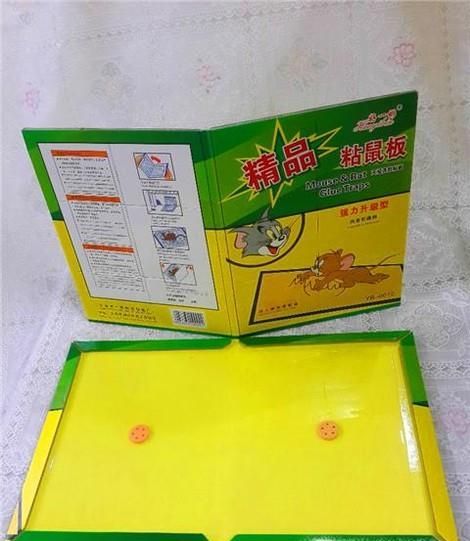 怎么一次性消灭家里的老鼠
