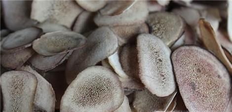 怎样鉴别鹿茸片真假