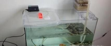 鱼缸潜水泵怎么用?